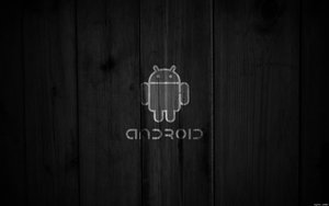 财务报表
