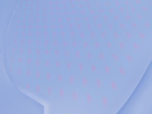 迁移学习